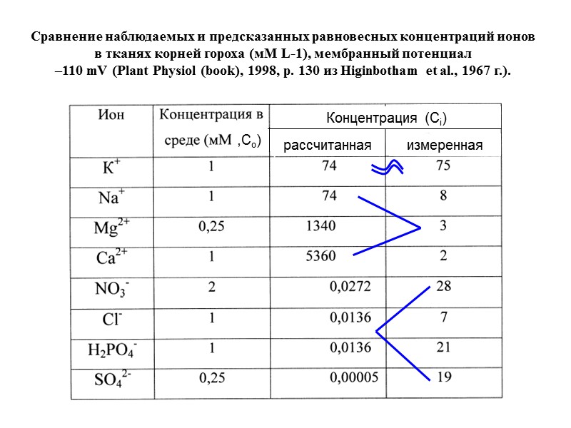 Сравнение наблюдаемых и предсказанных равновесных концентраций ионов в тканях корней гороха (мМ L-1), мембранный